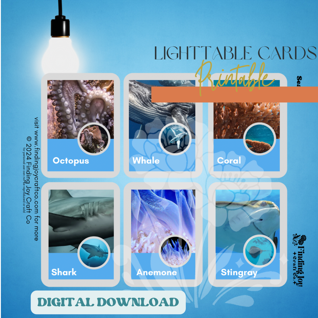 Light Table Flash Card: Sea Creatures - DIGITAL DOWNLOAD