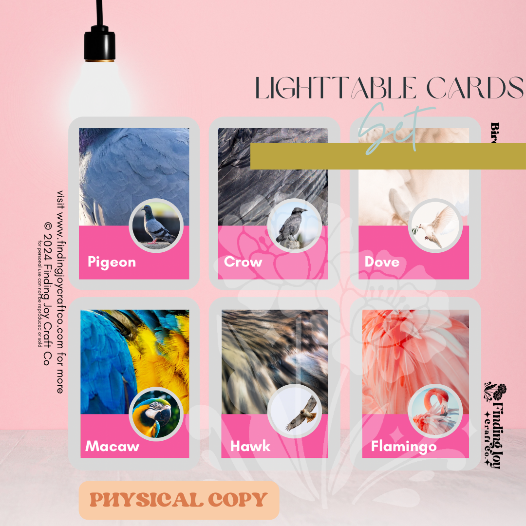 Light Table Flash Card: Birds - PHYSICAL COPY