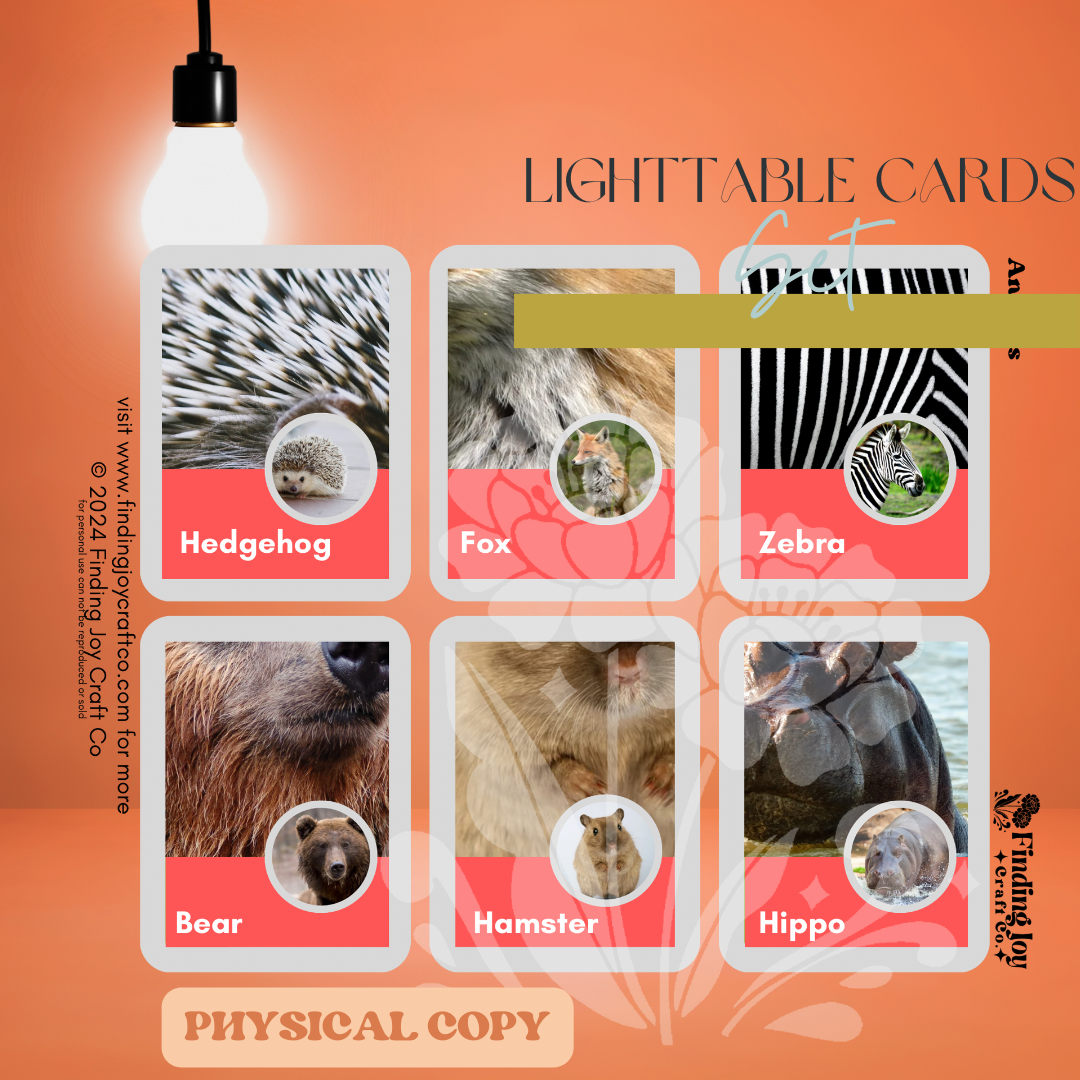 Light Table Flash Card: Animals - PHYSICAL COPY