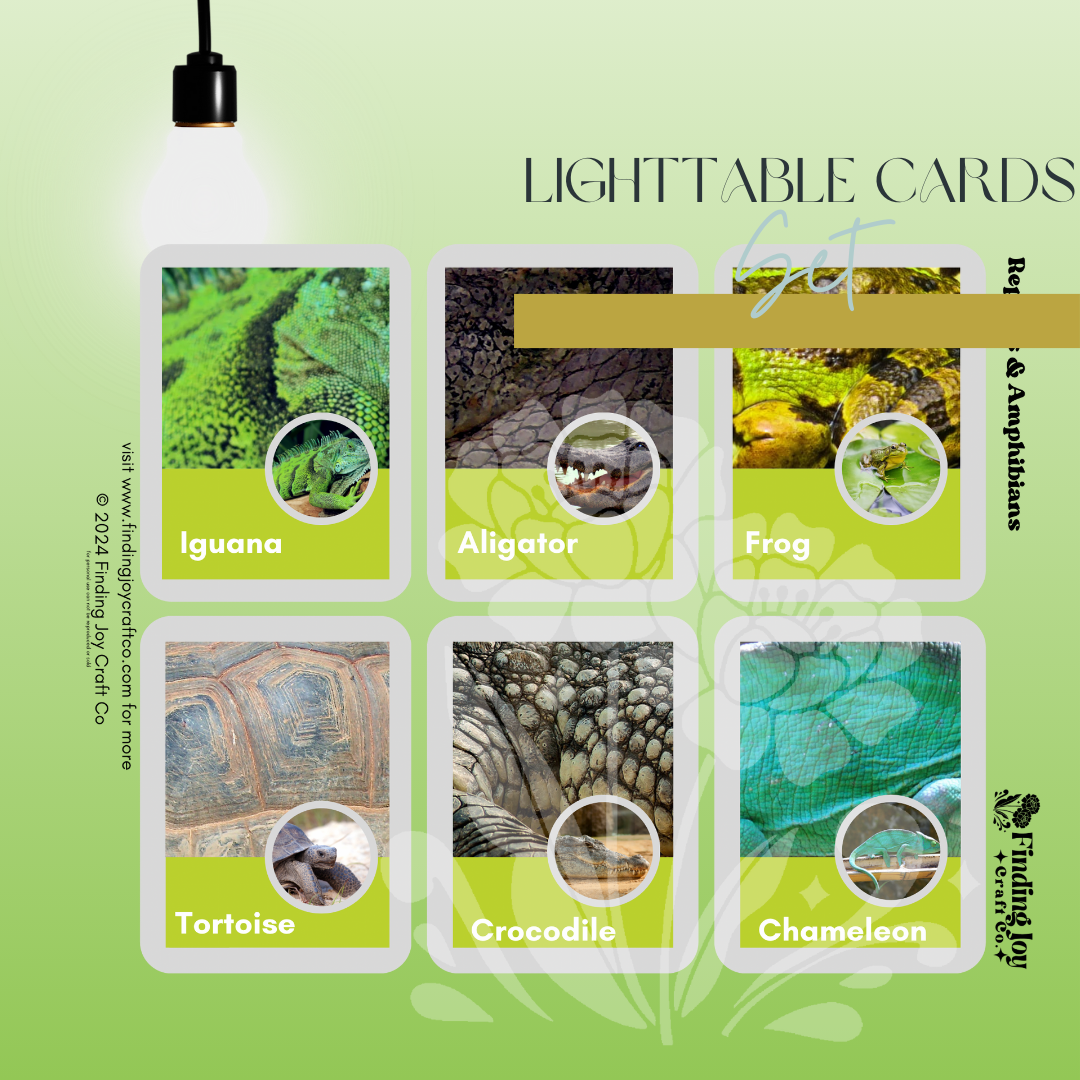 Light Table Flash Card: Reptiles & Amphibians - PHYSICAL COPY