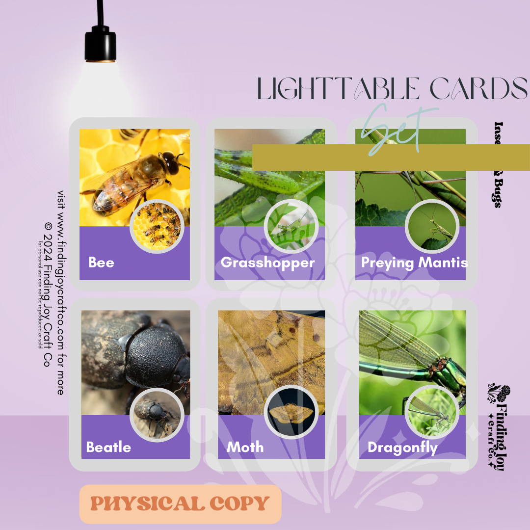 Light Table Flash Card: Bugs - PHYSICAL COPY