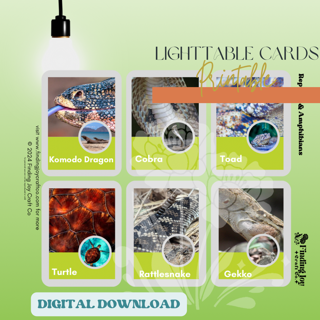 Light Table Flash Card: Reptiles & Amphibians - DIGITAL DOWNLOAD