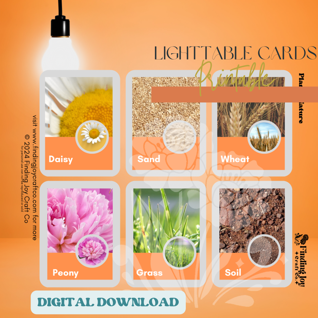 Light Table Flash Card: Plants & Nature - DIGITAL DOWNLOAD