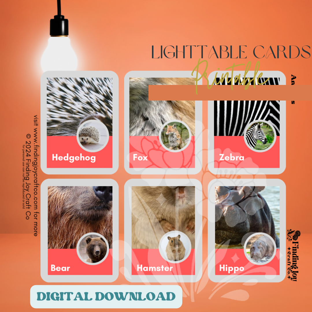Light Table Flash Card: Animals - DIGITAL DOWNLOAD