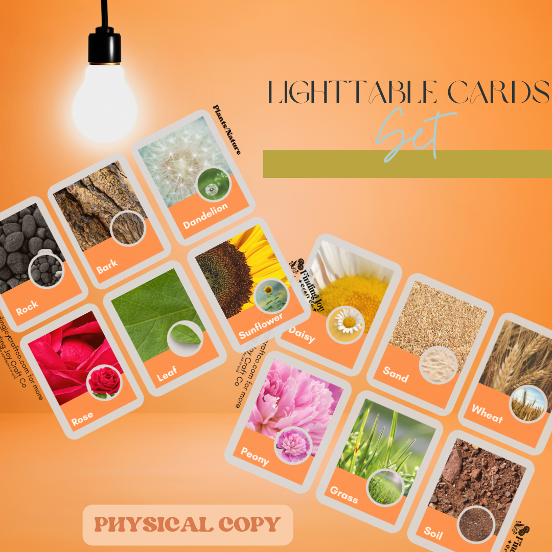 Light Table Flash Card: Full Collection - PHYSICAL COPY