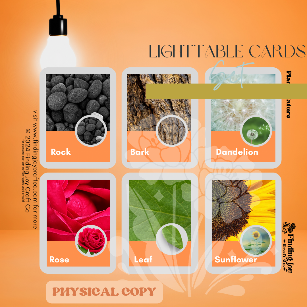 Light Table Flash Card: Plants & Nature - PHYSICAL COPY