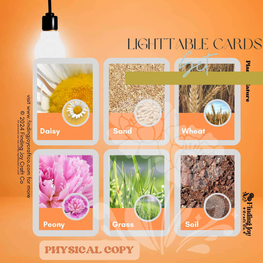 Light Table Flash Card: Plants & Nature - PHYSICAL COPY