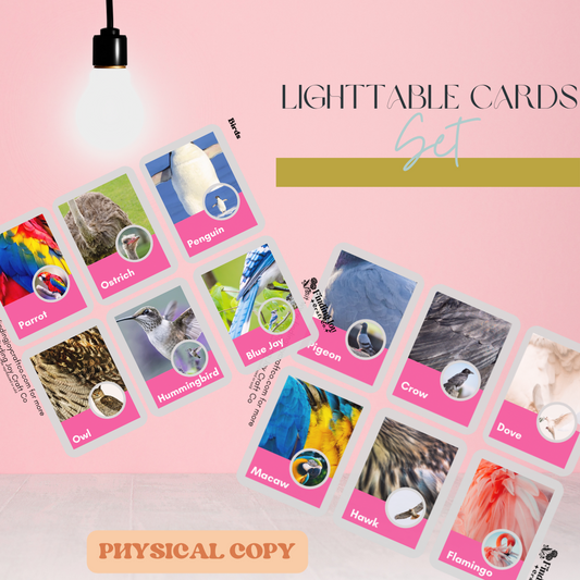 Light Table Flash Card: Birds - PHYSICAL COPY