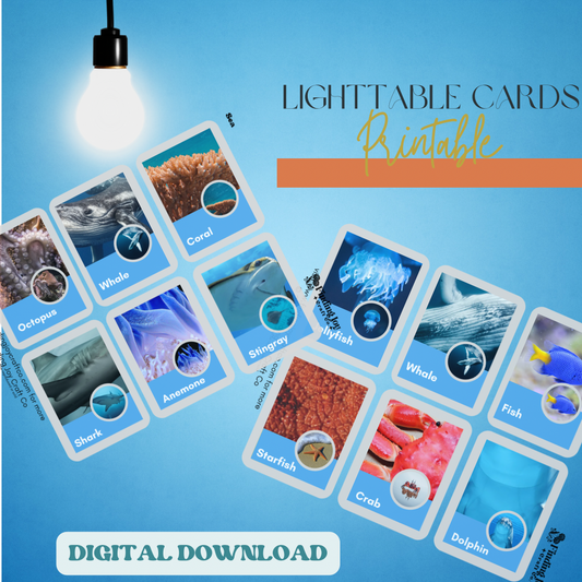 Light Table Flash Card: Sea Creatures - DIGITAL DOWNLOAD