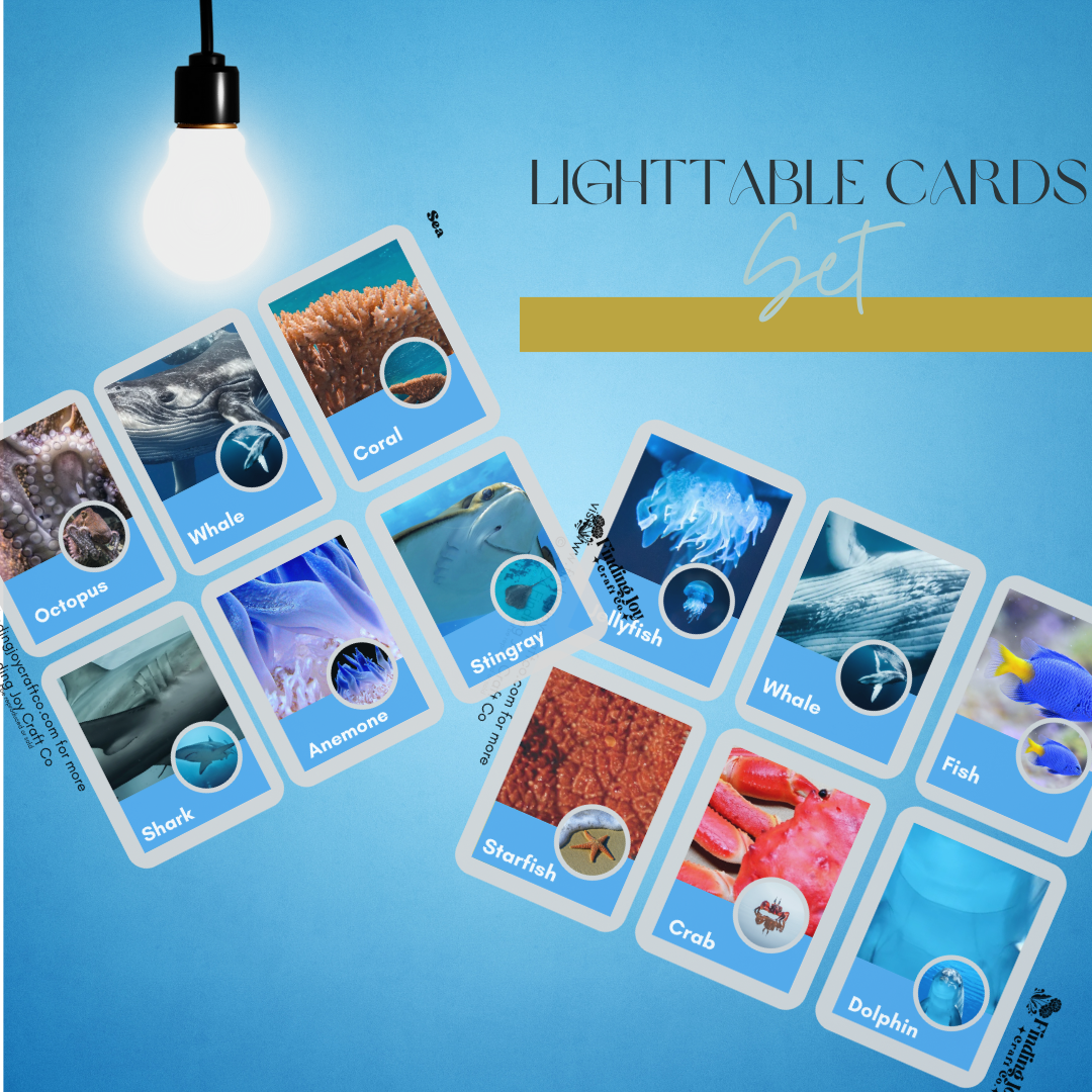 Light Table Flash Card: Full Collection - PHYSICAL COPY