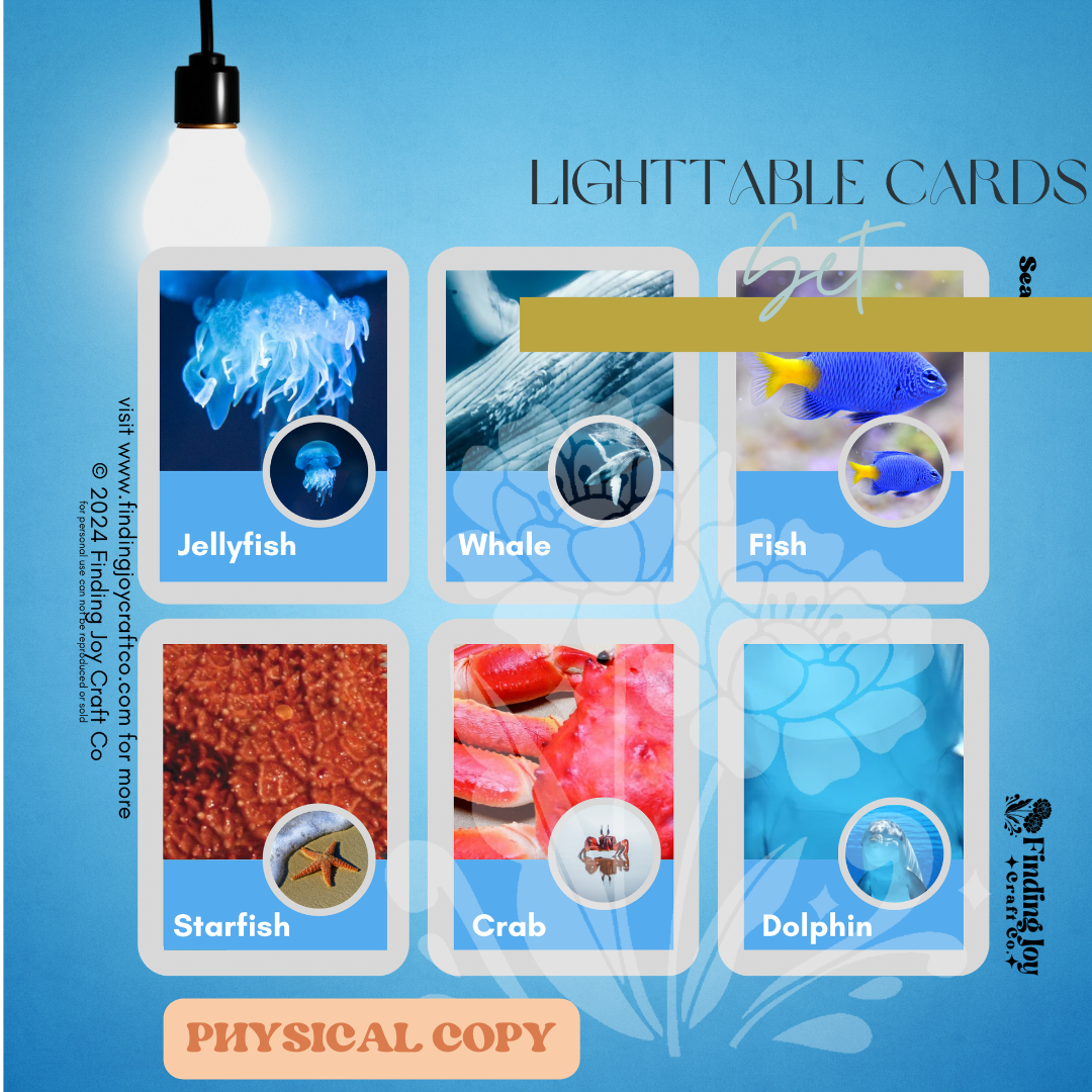 Light Table Flash Card: Sea Creatures - PHYSICAL COPY