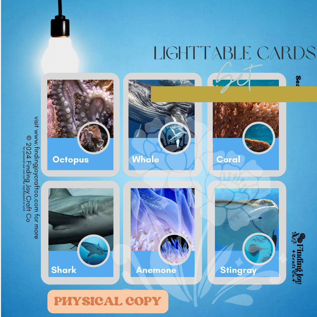 Light Table Flash Card: Sea Creatures - PHYSICAL COPY