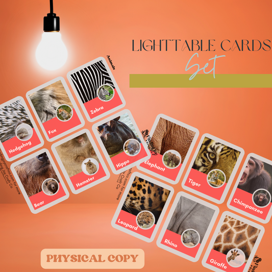 Light Table Flash Card: Animals - PHYSICAL COPY