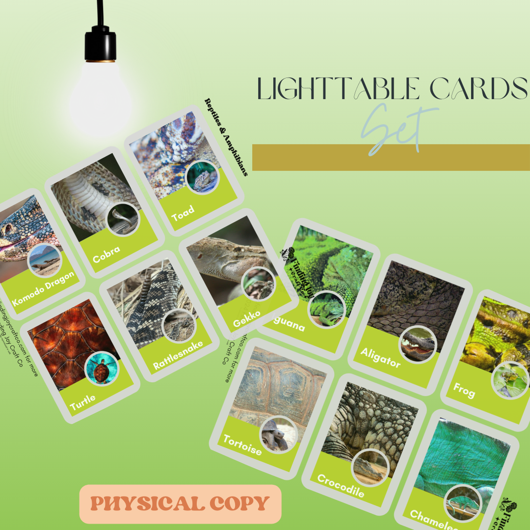 Light Table Flash Card: Full Collection - PHYSICAL COPY