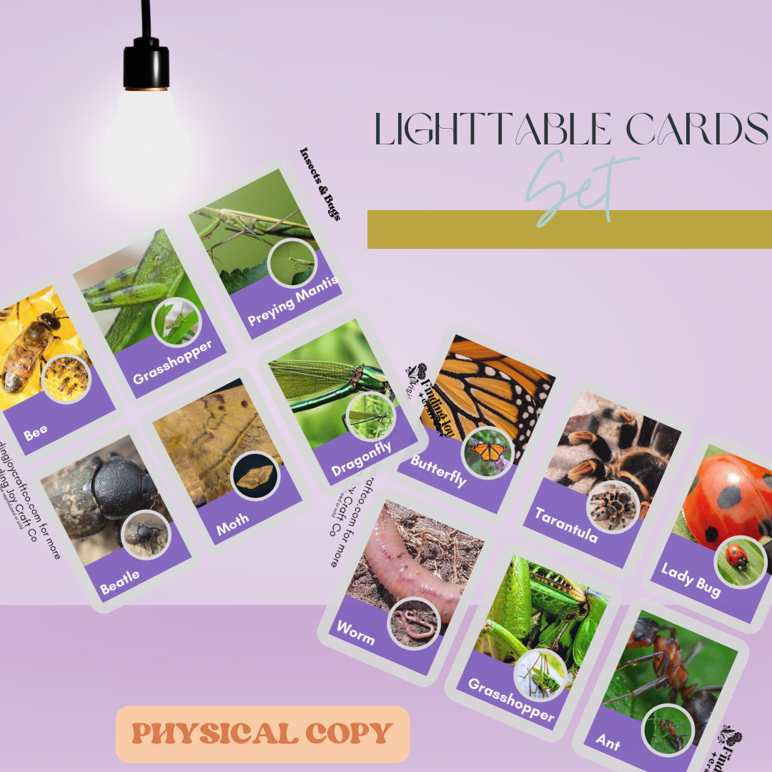 Light Table Flash Card: Bugs - PHYSICAL COPY