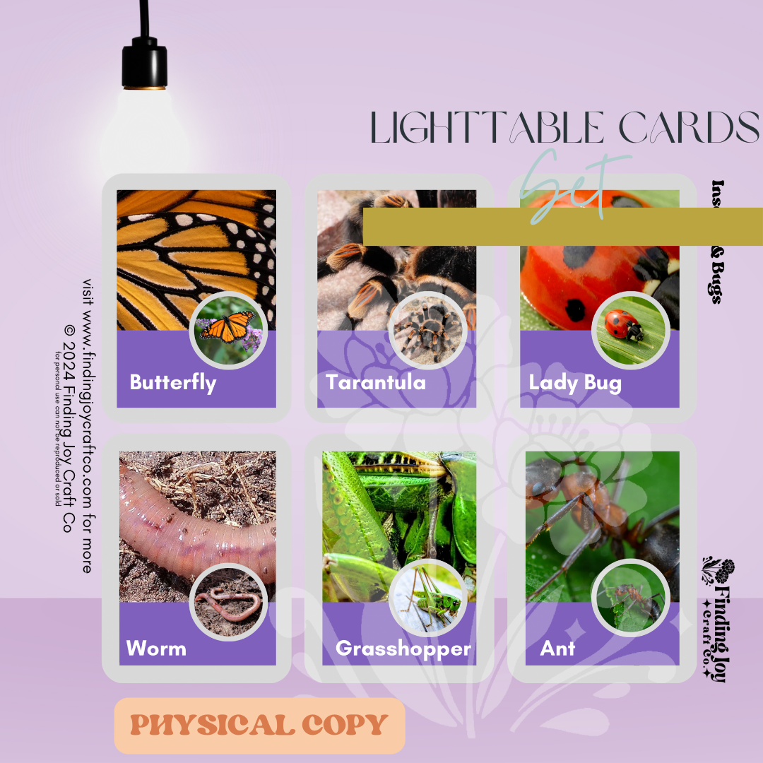 Light Table Flash Card: Bugs - PHYSICAL COPY