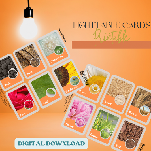 Light Table Flash Card: Plants & Nature - DIGITAL DOWNLOAD