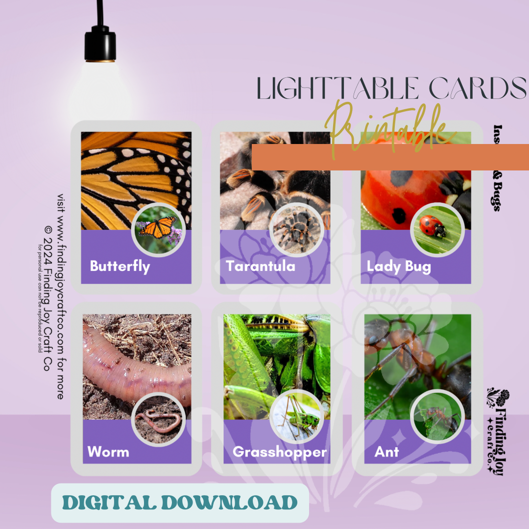 Light Table Flash Card: Bugs - DIGITAL DOWNLOAD