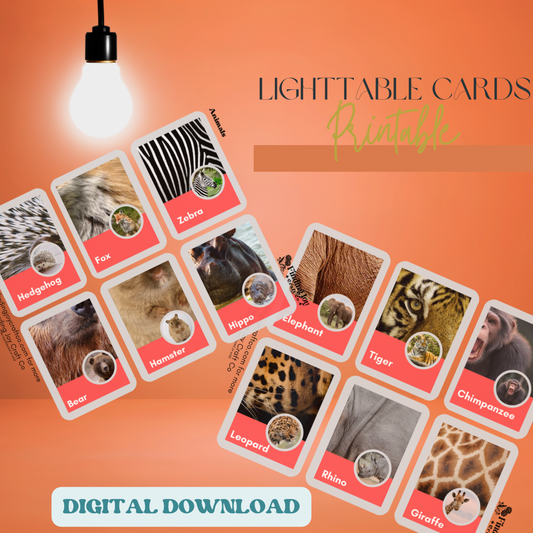 Light Table Flash Card: Animals - DIGITAL DOWNLOAD