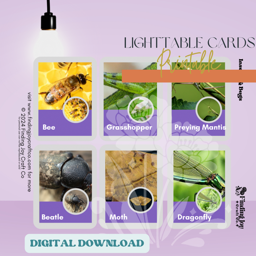 Light Table Flash Card: Bugs - DIGITAL DOWNLOAD